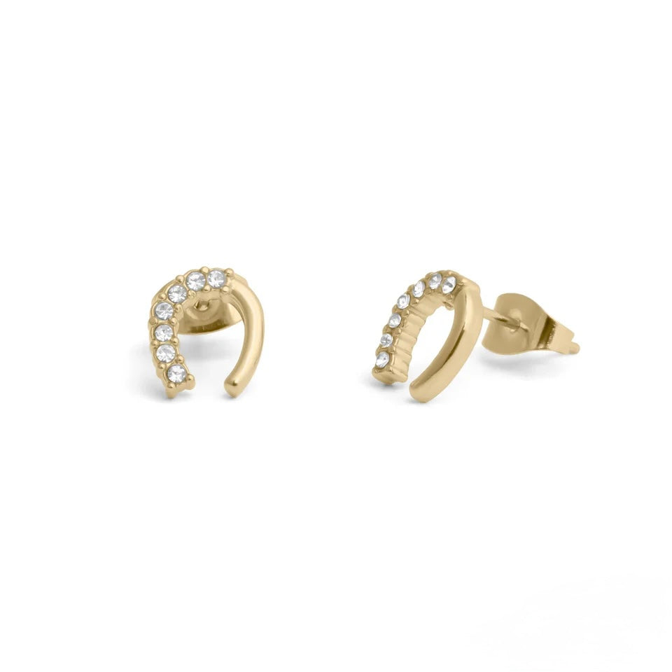 Lucky Horseshoe Studs