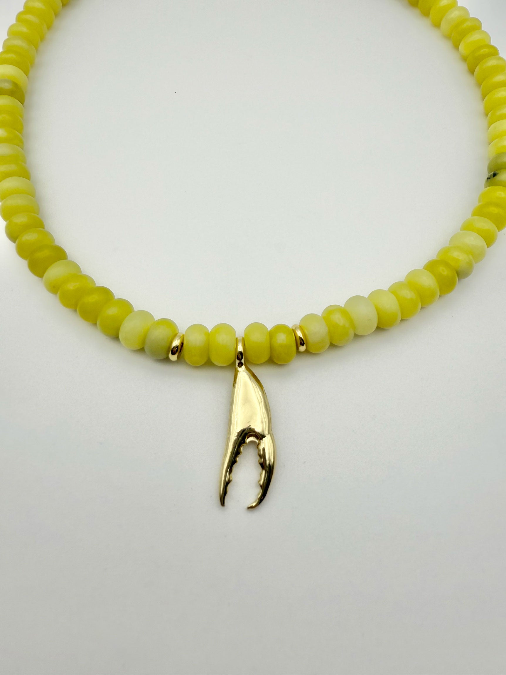 Côte Claw Necklace