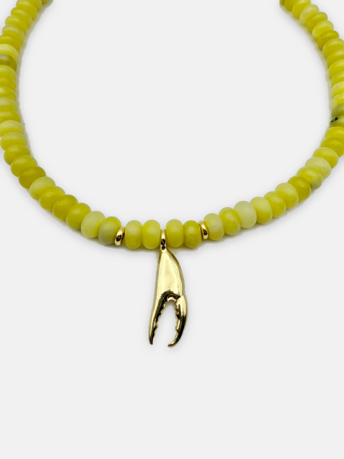 Côte Claw Necklace