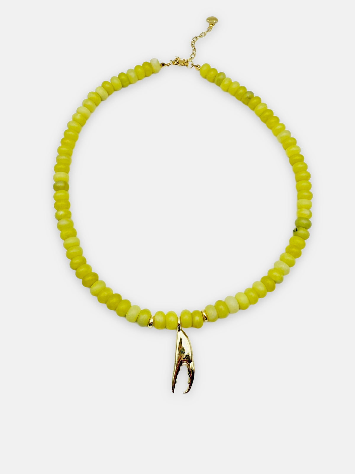 Côte Claw Necklace